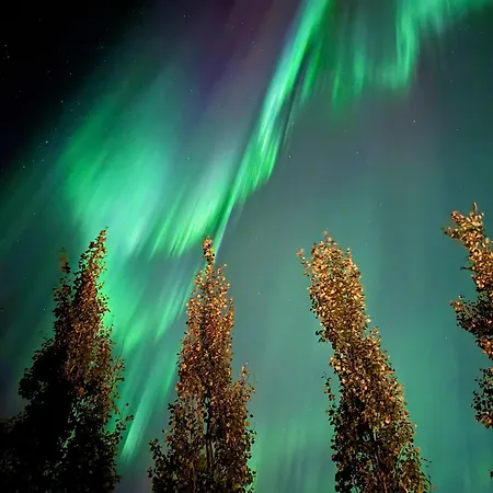 Aura By Lapland Villas, - Lapland, 2 Min Walk, 2br, Private Sauna, Fireplace 別荘 ルオスト