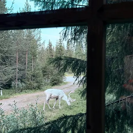 Aura By Lapland Villas, - Lapland, 2 Min Walk, 2br, Private Sauna, Fireplace 別荘 *