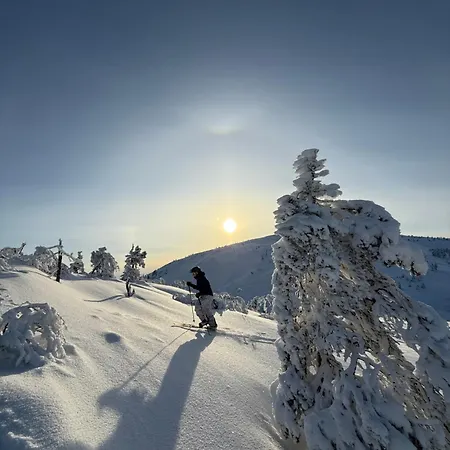 Aura By Lapland Villas, - Lapland, 2 Min Walk, 2br, Private Sauna, Fireplace * ルオスト
