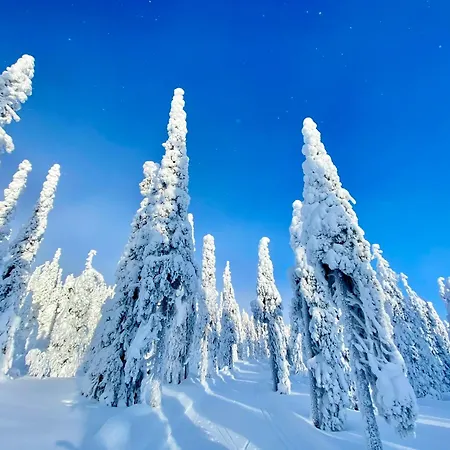 Aura By Lapland Villas, - Lapland, 2 Min Walk, 2br, Private Sauna, Fireplace 別荘 *