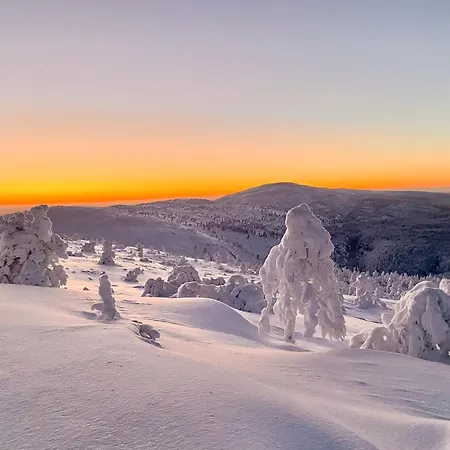 Aura By Lapland Villas, - Lapland, 2 Min Walk, 2br, Private Sauna, Fireplace ルオスト