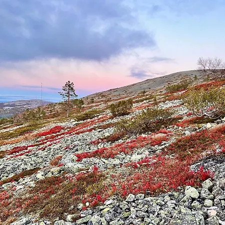 別荘 Aura By Lapland Villas, - Lapland, 2 Min Walk, 2br, Private Sauna, Fireplace *